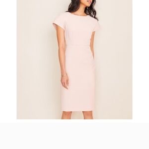 Ann Taylor Blush Pink Dress